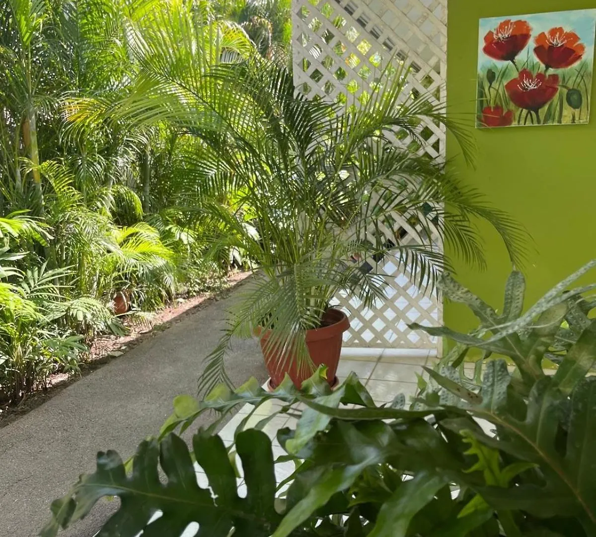 Appartement Tropical Palm Retreat à Willemstad