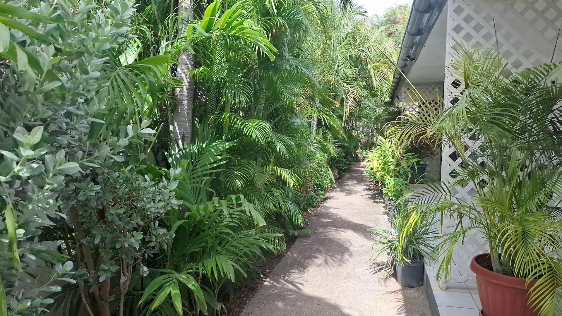 Appartement Tropical Palm Retreat à Willemstad