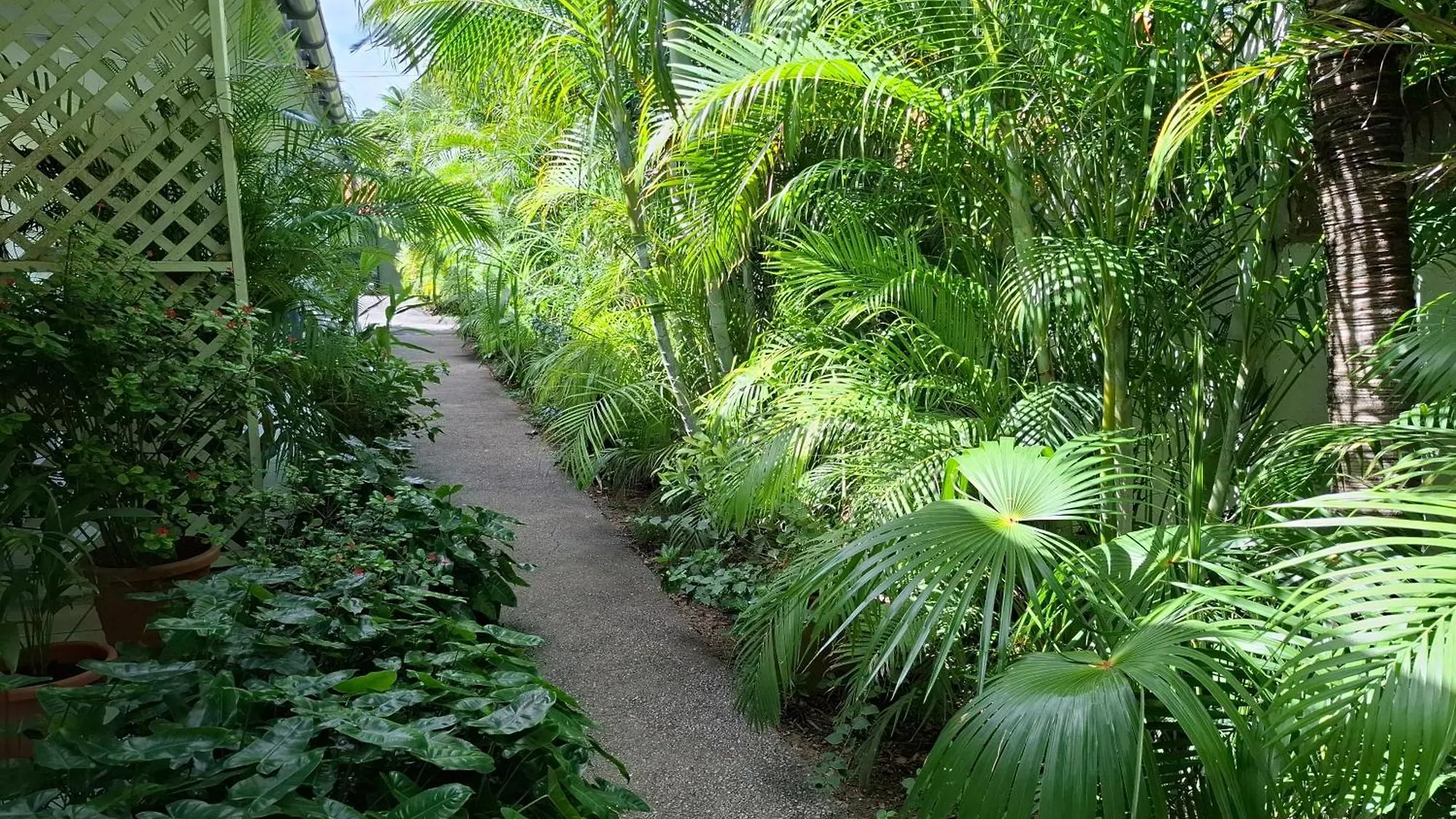 Tropical Palm Retreat Apartamento Willemstad Curaçao